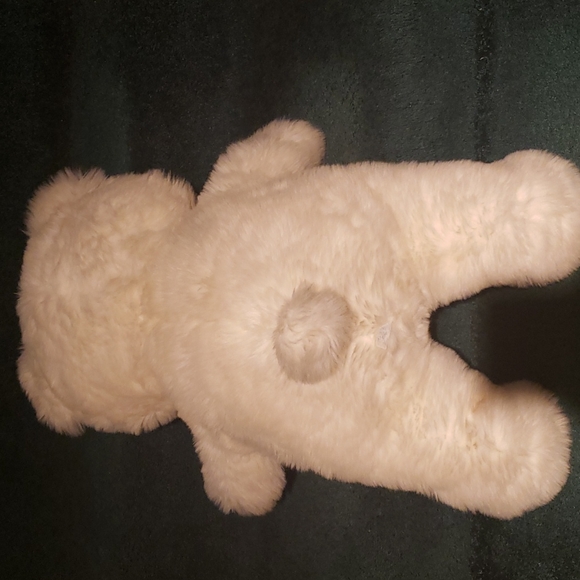 Bear - Picture 7 of 15